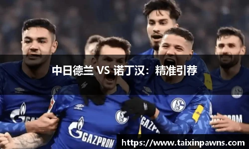 中日德兰 VS 诺丁汉：精准引荐